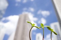 中央区日本橋浜町の税理士_鷹野会計事務所の駆け込みパック